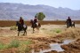 نتایج دهمین مسابقه پرش با اسب هیأت سوارکاری استان اصفهان در سال 95