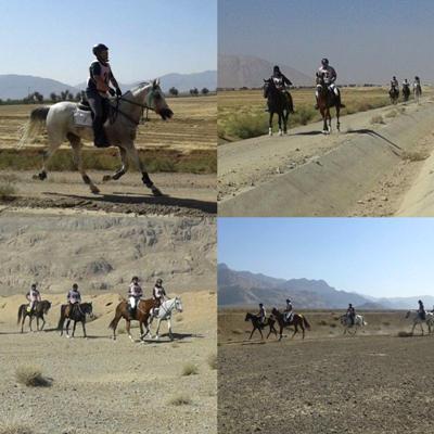 نتایج دومین مسابقه سواری استقامت هیأت سوارکاری استان اصفهان در سال 95