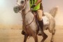 برگزاری کلاس آشنایی با تربیت اسب و سوارکاری استقامت در استان اصفهان