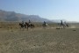 نتایج هفدهمین مسابقه پرش با اسب هیأت سوارکاری استان اصفهان در سال 95