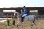 اطلاعیه برگزاری اولین دوره مسابقات ورزشی اسبهای عرب و غیر عرب هیأت سوارکاری استان اصفهان در سال 95