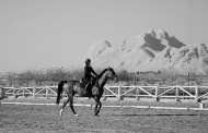 نتایج چهارمین مسابقه درساژ هیأت سوارکاری استان اصفهان در سال 95