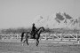 نتایج هجدهمین مسابقه پرش با اسب هیأت سوارکاری استان اصفهان در سال 95