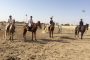 نتایج دهمین مسابقه پرش با اسب هیأت سوارکاری استان اصفهان در سال ۹۶