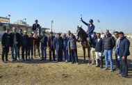 نتایج بیستمین مسابقه پرش با اسب و جام فجر هیأت سوارکاری استان اصفهان در سال ۹۶